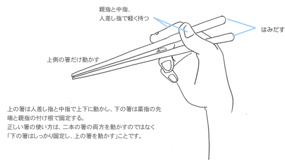 お箸の持ち方