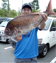 礒橋　朋弘